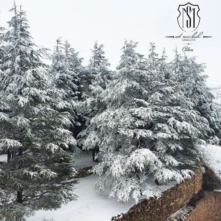Saint Michel Chalets Al Arz Buitenkant foto